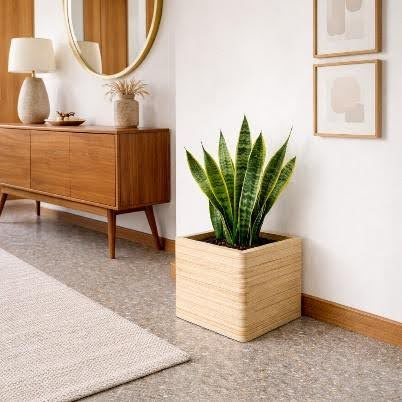 PLANTER – BLOCK - Image 3