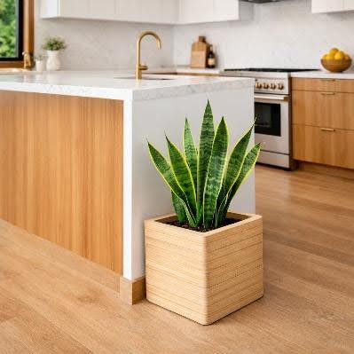PLANTER – BLOCK - Image 2